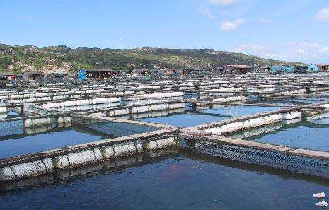 德瑞亞空壓機助力淡水養殖,營造和諧水產市場 德瑞亞空壓機助力淡水養殖,營造和諧水產市場