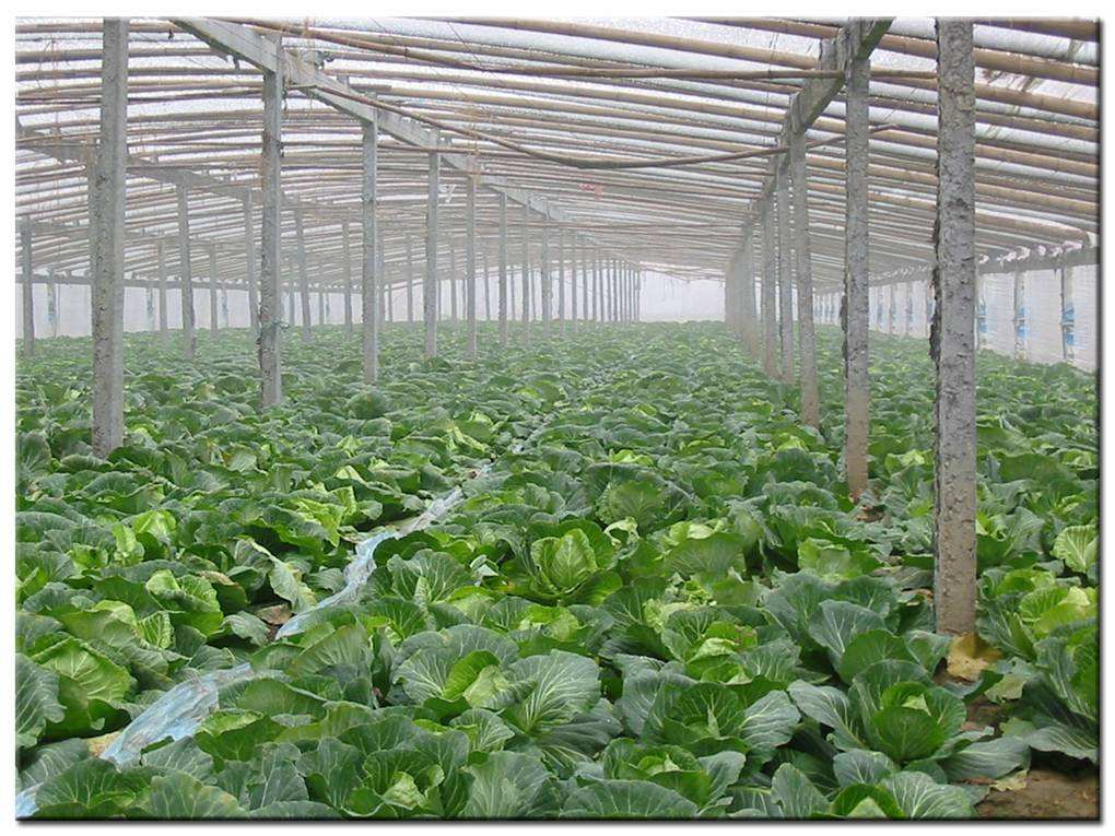 德瑞亞空壓機助力食品加工,節能無止盡 德瑞亞空壓機助力食品加工,節能無止盡